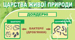 Стенды кабинета биологии